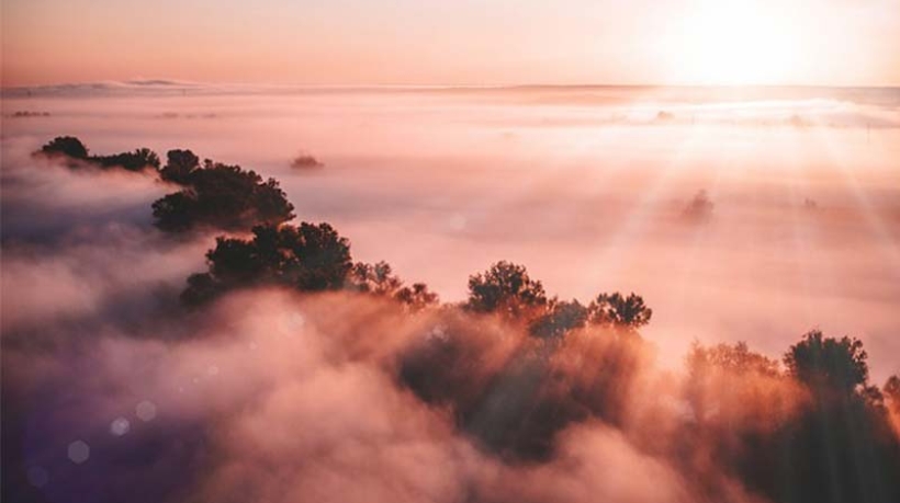 Psiholog sau psihoterapeut? Cum alegi ce ți se potrivește